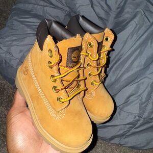 Wheat Timberland Boots